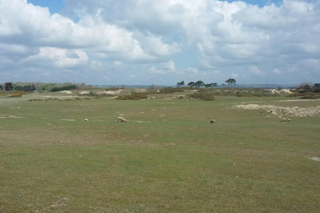 Gite Ouest De La Pointe D'Agon Dış mekan fotoğraf