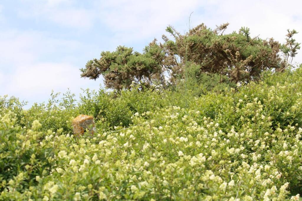 Gite Ouest De La Pointe D'Agon Dış mekan fotoğraf