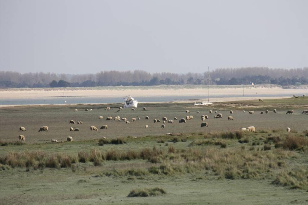 Gite Ouest De La Pointe D'Agon Dış mekan fotoğraf